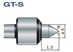 GT-S standard